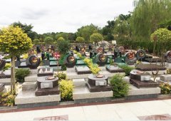 上；；；；；懔靶腔鹎