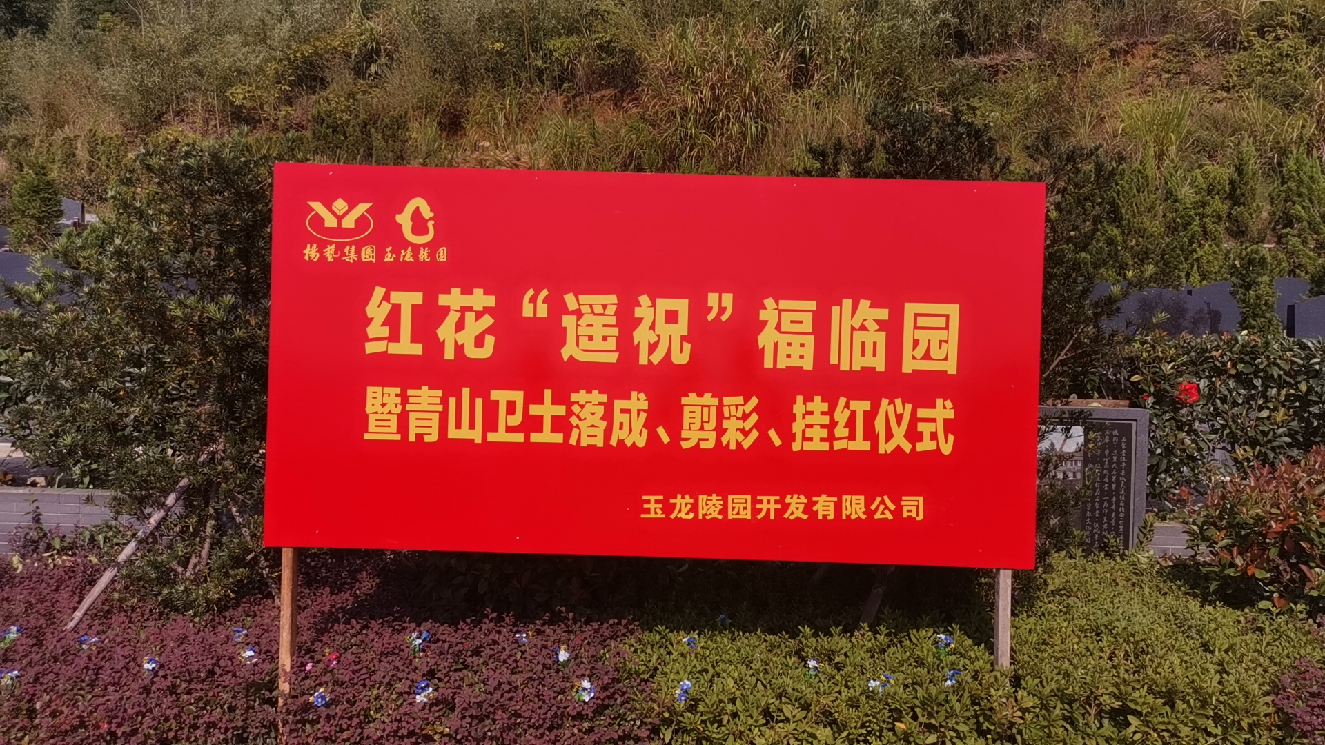 红花传爱意，，，，情满玉龙园！