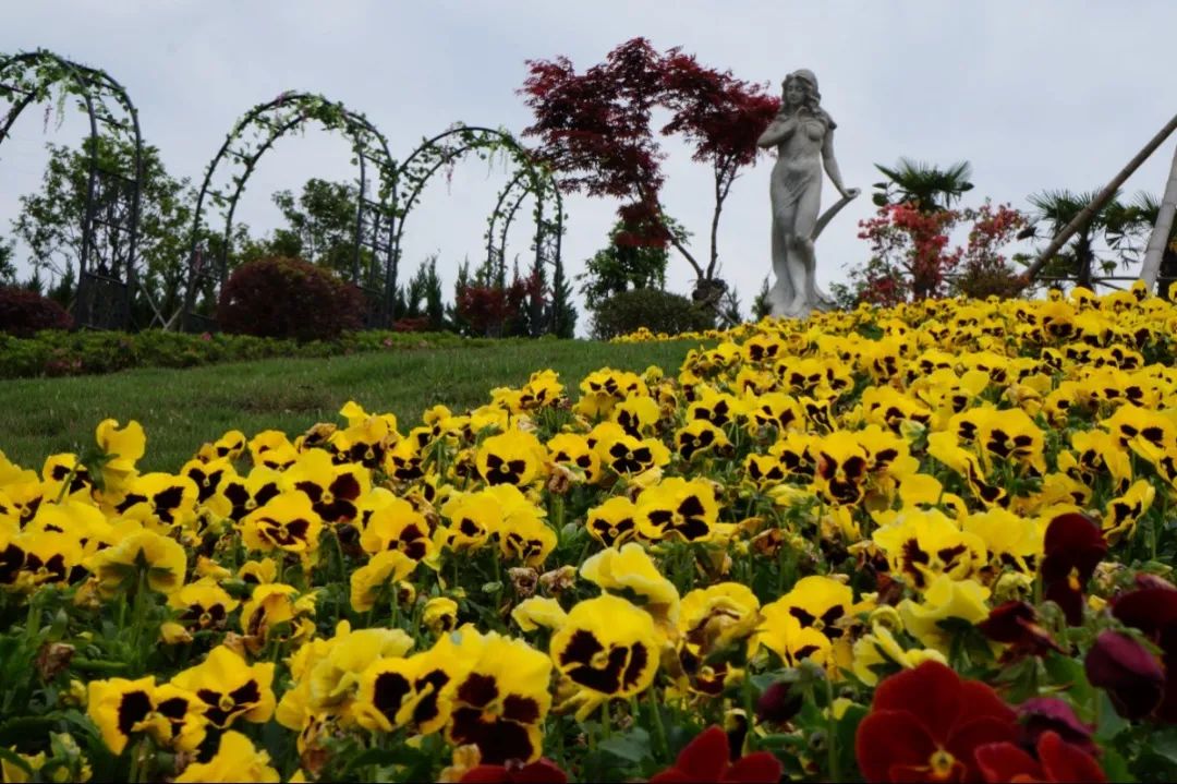 JDB电子·(中国区)试玩平台-JDB电子游戏官网