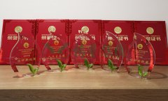 “jdb电子杯”浙江省节地生态埋葬设计作品奖