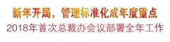 新年开局，，，，治理标准化成年度重点