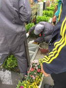 【jdb电子人别样清明】2018年清明落葬事情圆满完成