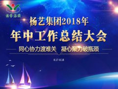jdb电子集团2018年中总结报告（摘要）
