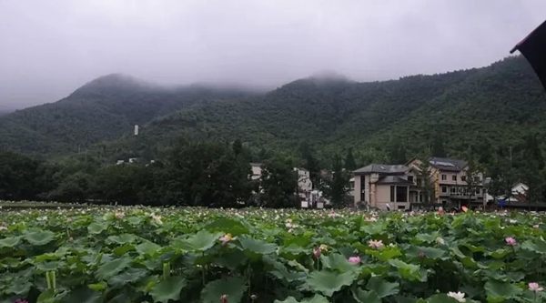 JDB电子·(中国区)试玩平台-JDB电子游戏官网