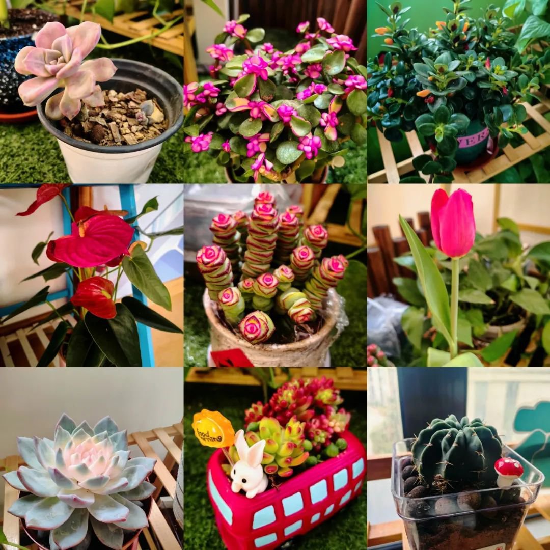 JDB电子·(中国区)试玩平台-JDB电子游戏官网