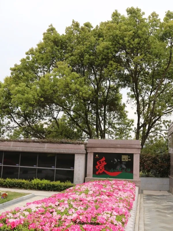 JDB电子·(中国区)试玩平台-JDB电子游戏官网