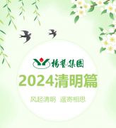 风起清明 遥寄相思|jdb电子集团?2024清明篇
