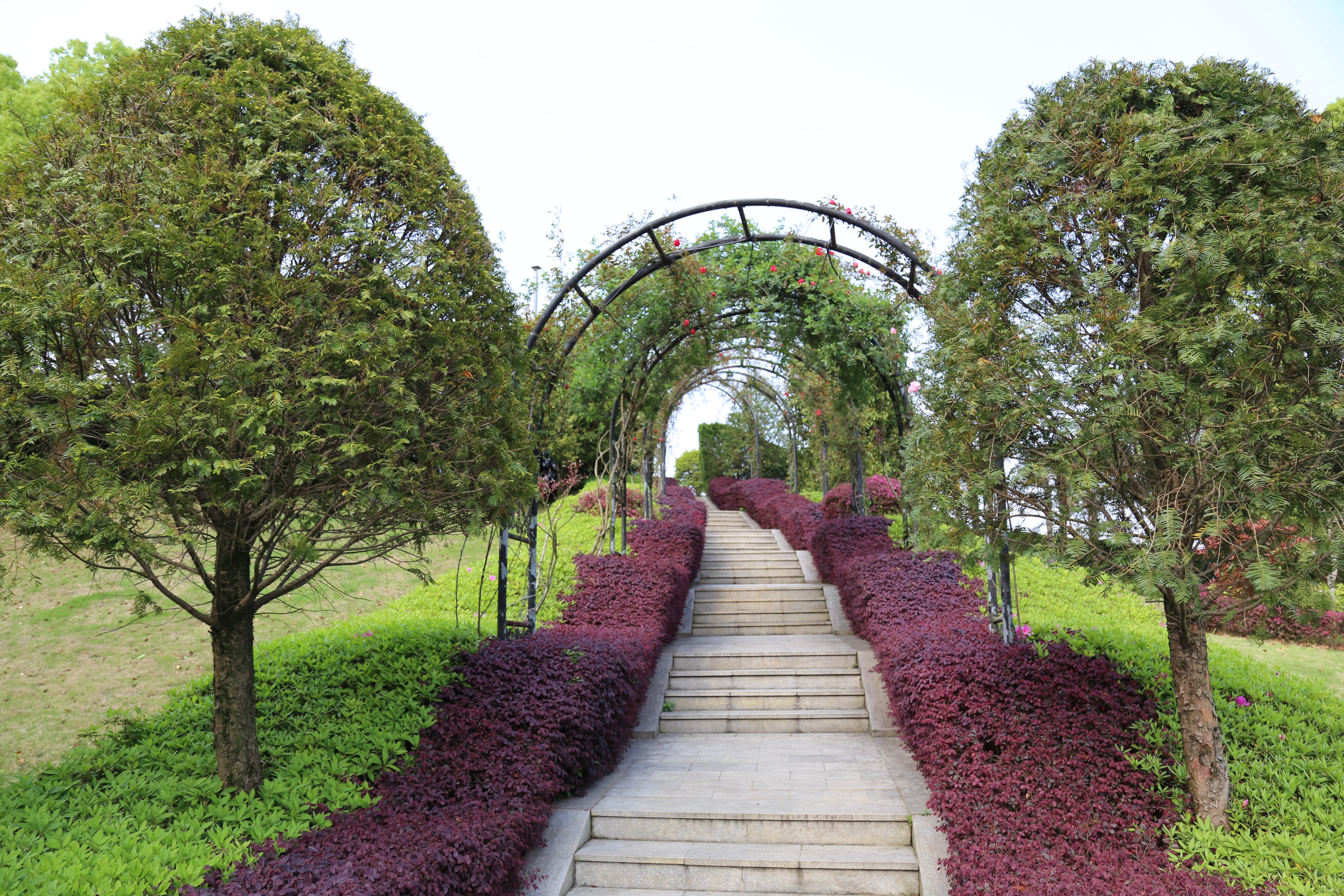 JDB电子·(中国区)试玩平台-JDB电子游戏官网