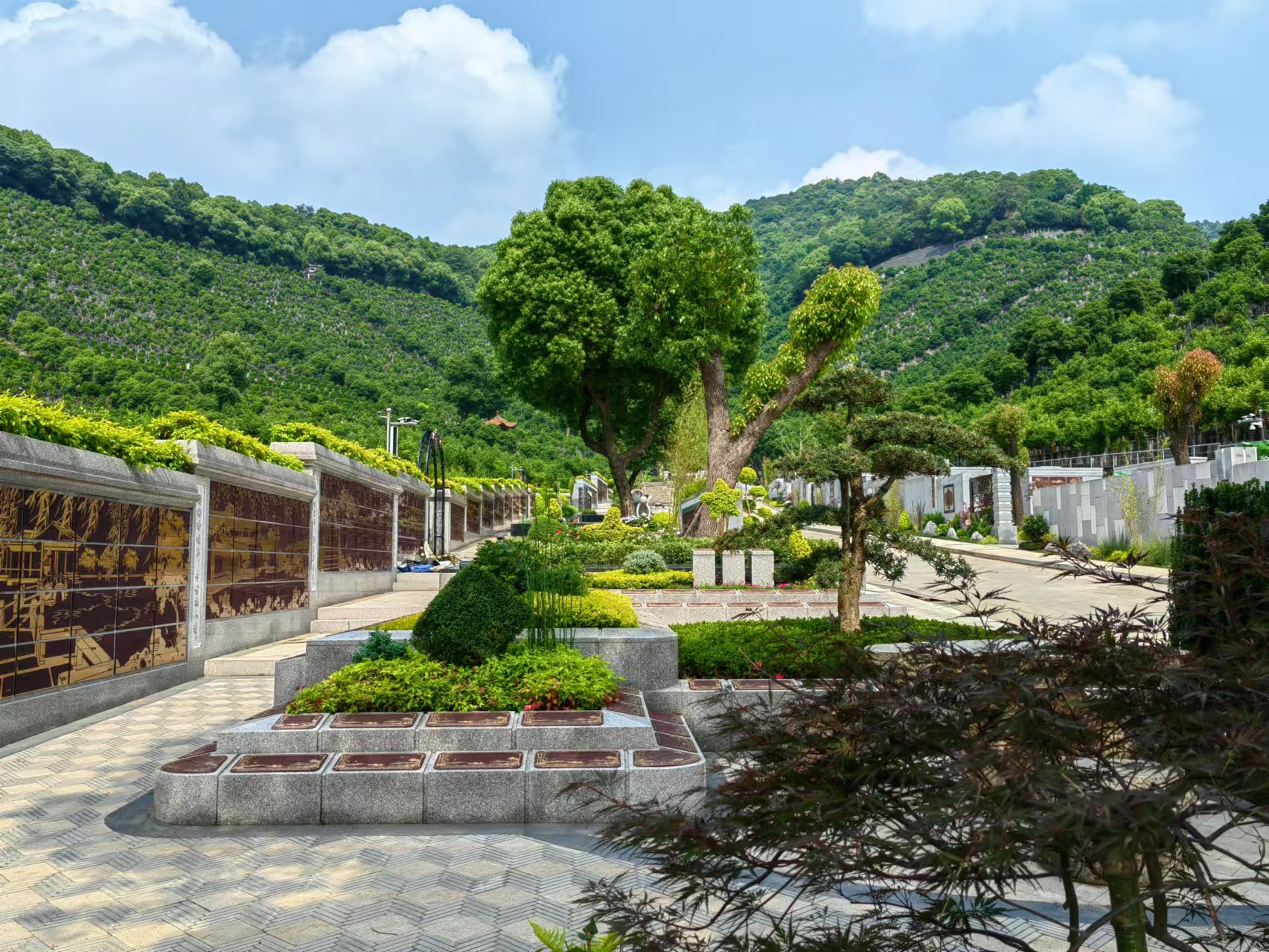 引领绿色生态新民俗，，，，，共筑生命协调家园