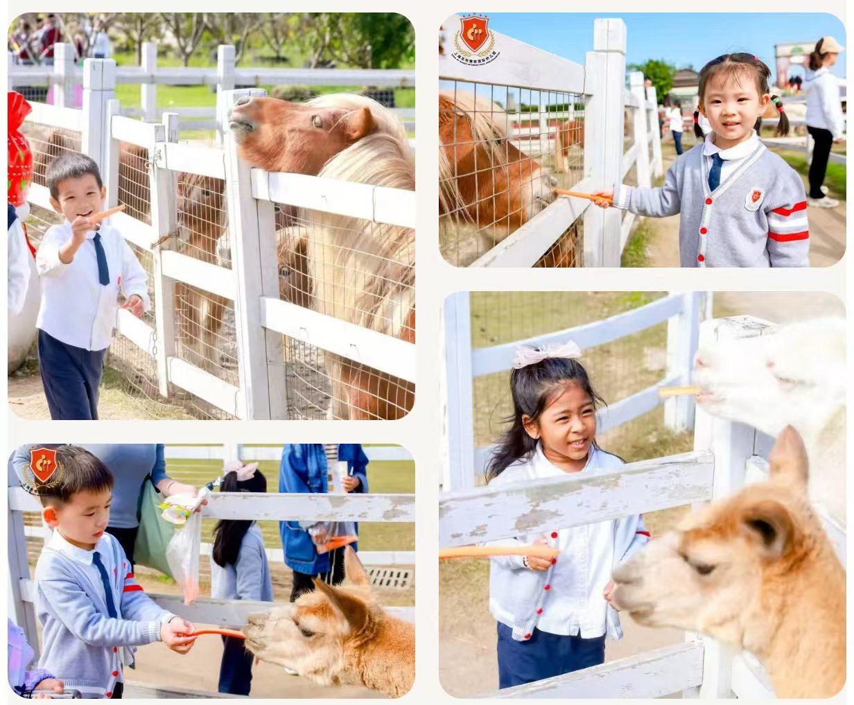 JDB电子·(中国区)试玩平台-JDB电子游戏官网