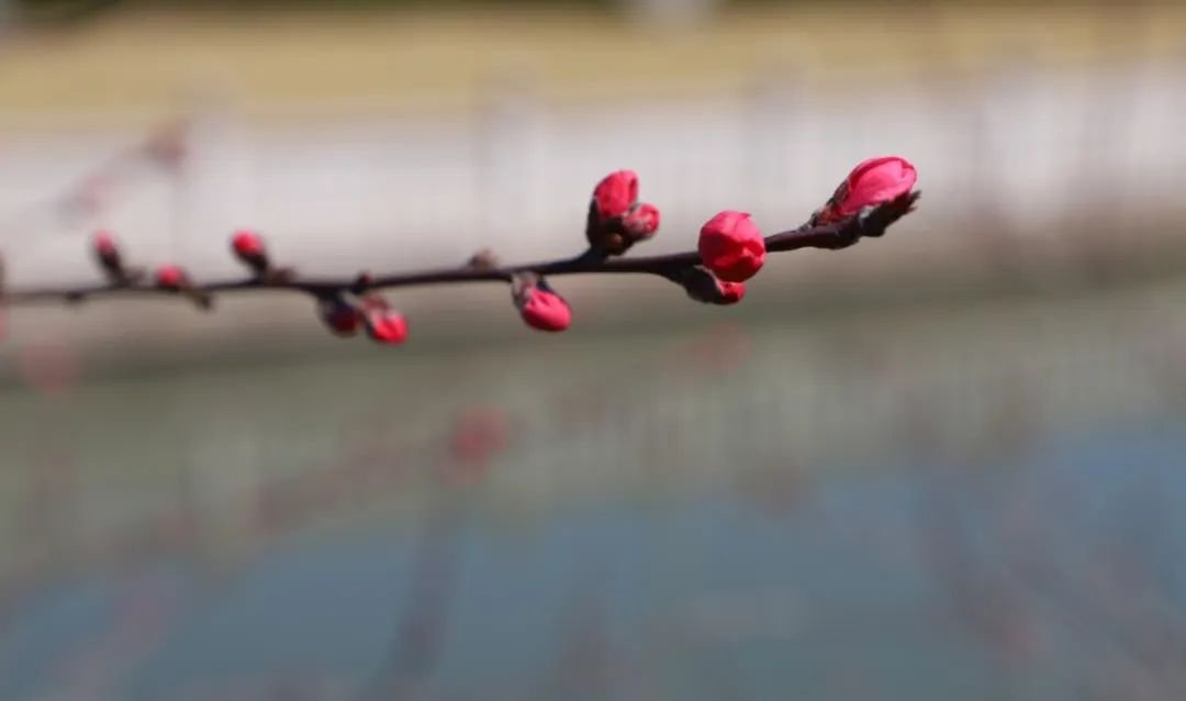 JDB电子·(中国区)试玩平台-JDB电子游戏官网